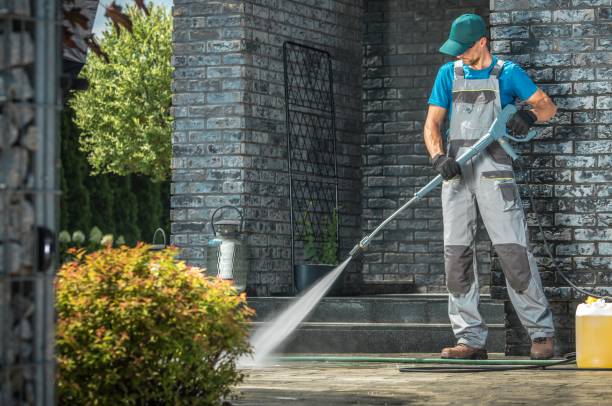 Best Animal Enclosure Cleaning  in Kings Mills, OH